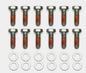 Wilwood Bolt Kit - 5/16-18 x 1.00 LG - 12 pk