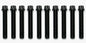 Wilwood Bolt Kit 1/2-20x3.00 LG 12 PTCS - 10 Pack Black